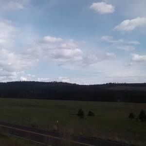 Meet your Posher, Colleen